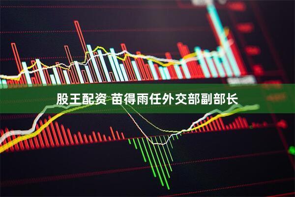 股王配资 苗得雨任外交部副部长