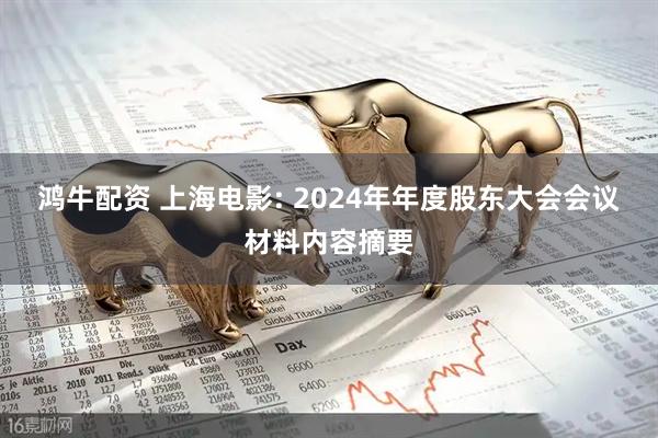 鸿牛配资 上海电影: 2024年年度股东大会会议材料内容摘要