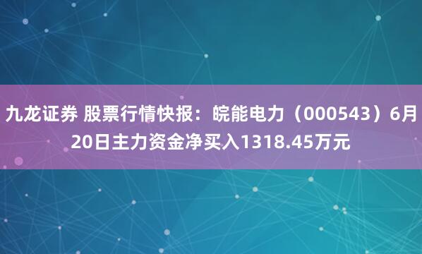 九龙证券 股票行情快报：皖能电力（000543）6月20日主力资金净买入1318.45万元