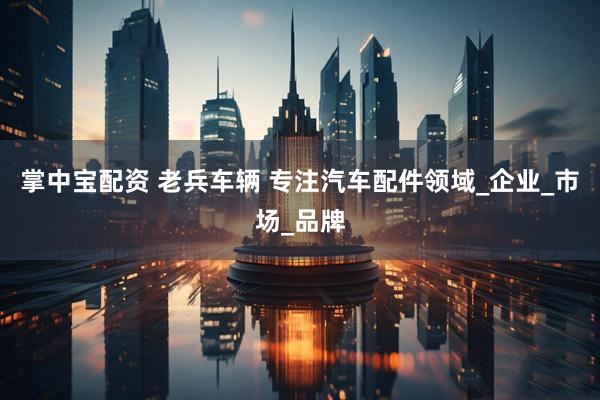 掌中宝配资 老兵车辆 专注汽车配件领域_企业_市场_品牌