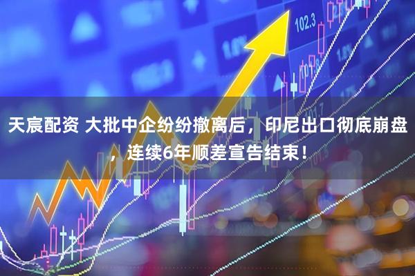 天宸配资 大批中企纷纷撤离后，印尼出口彻底崩盘，连续6年顺差宣告结束！